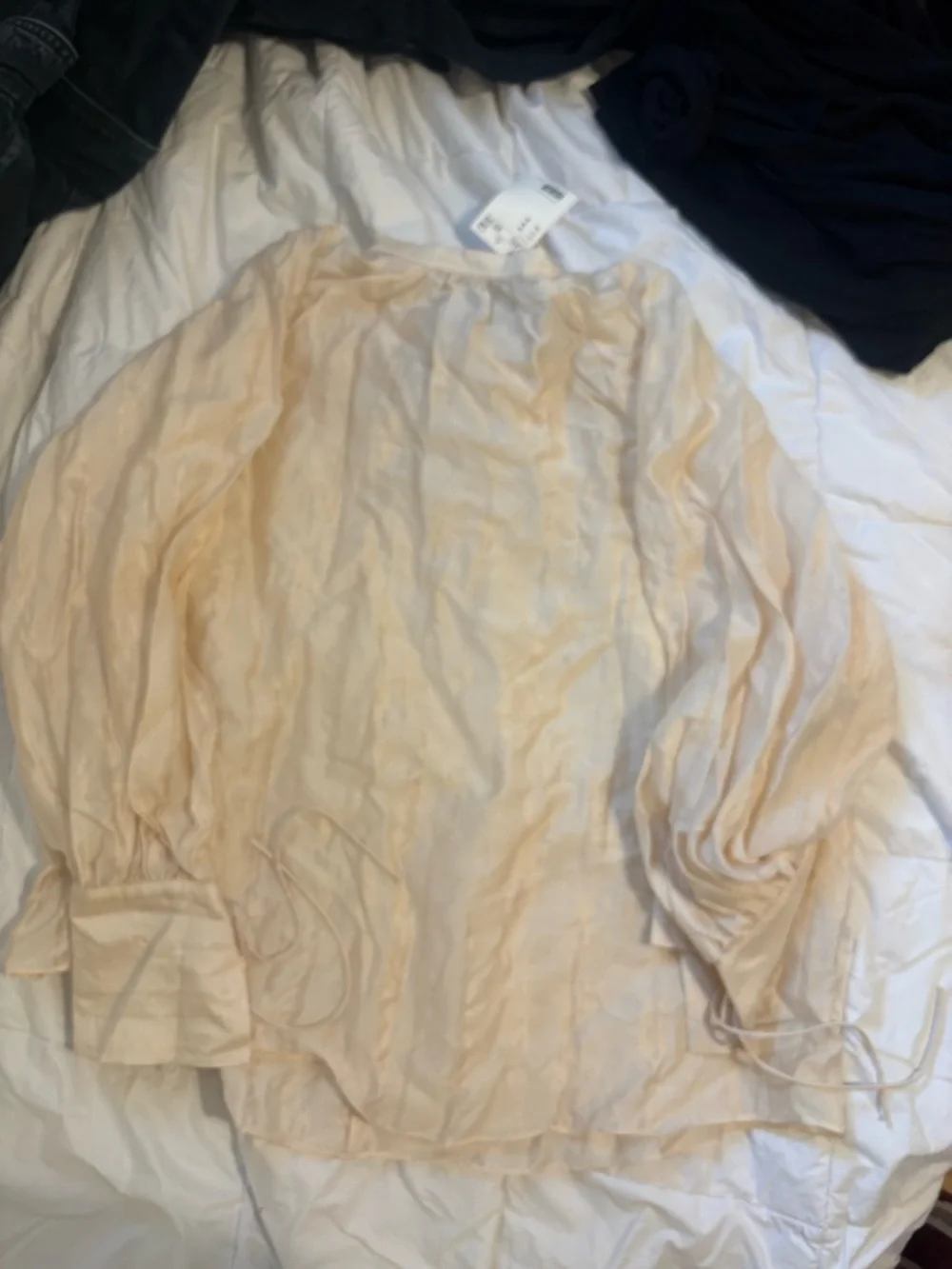 Light Cream Sheer Long-Sleeve Peasant Women’s Top - Picture 2 of 3